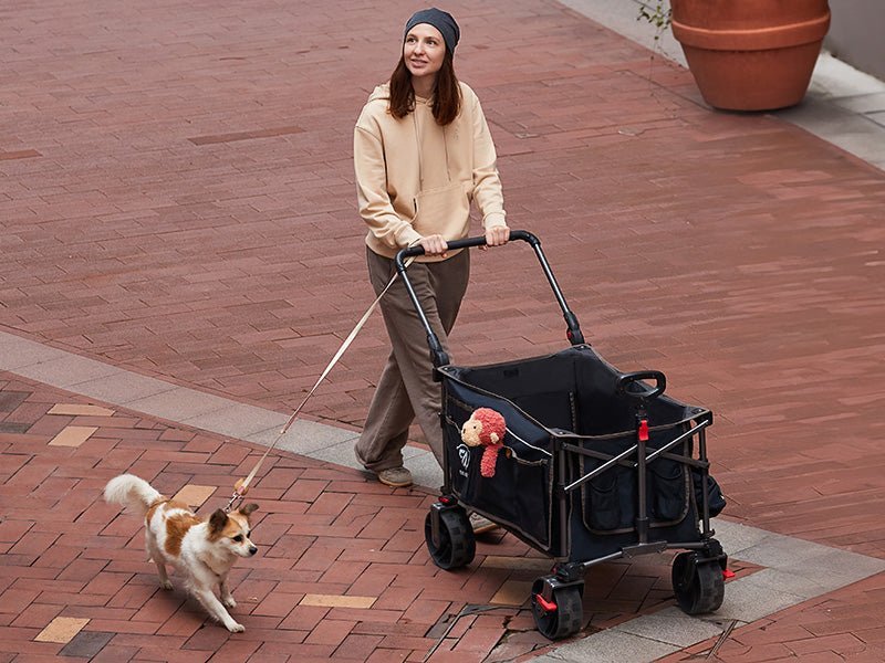 The Perfect Pet Stroller for Every Outing - EVER ADVANCED