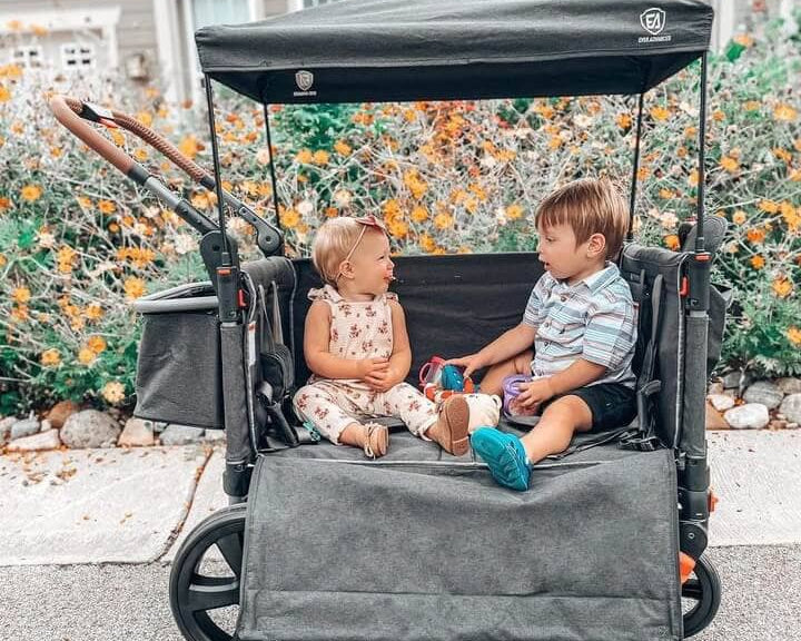 Stroller Wagon