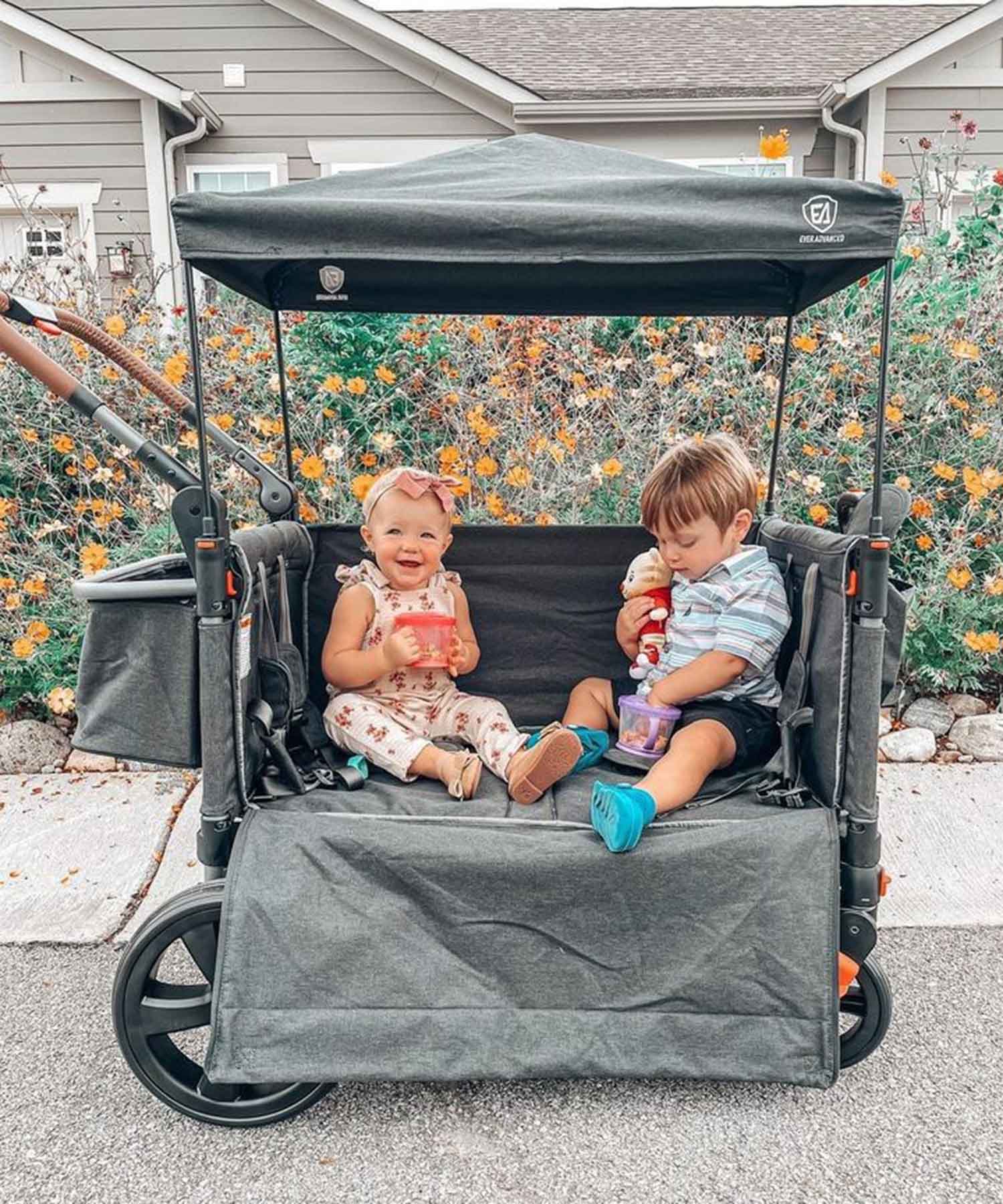 ever advanced stroller wagon