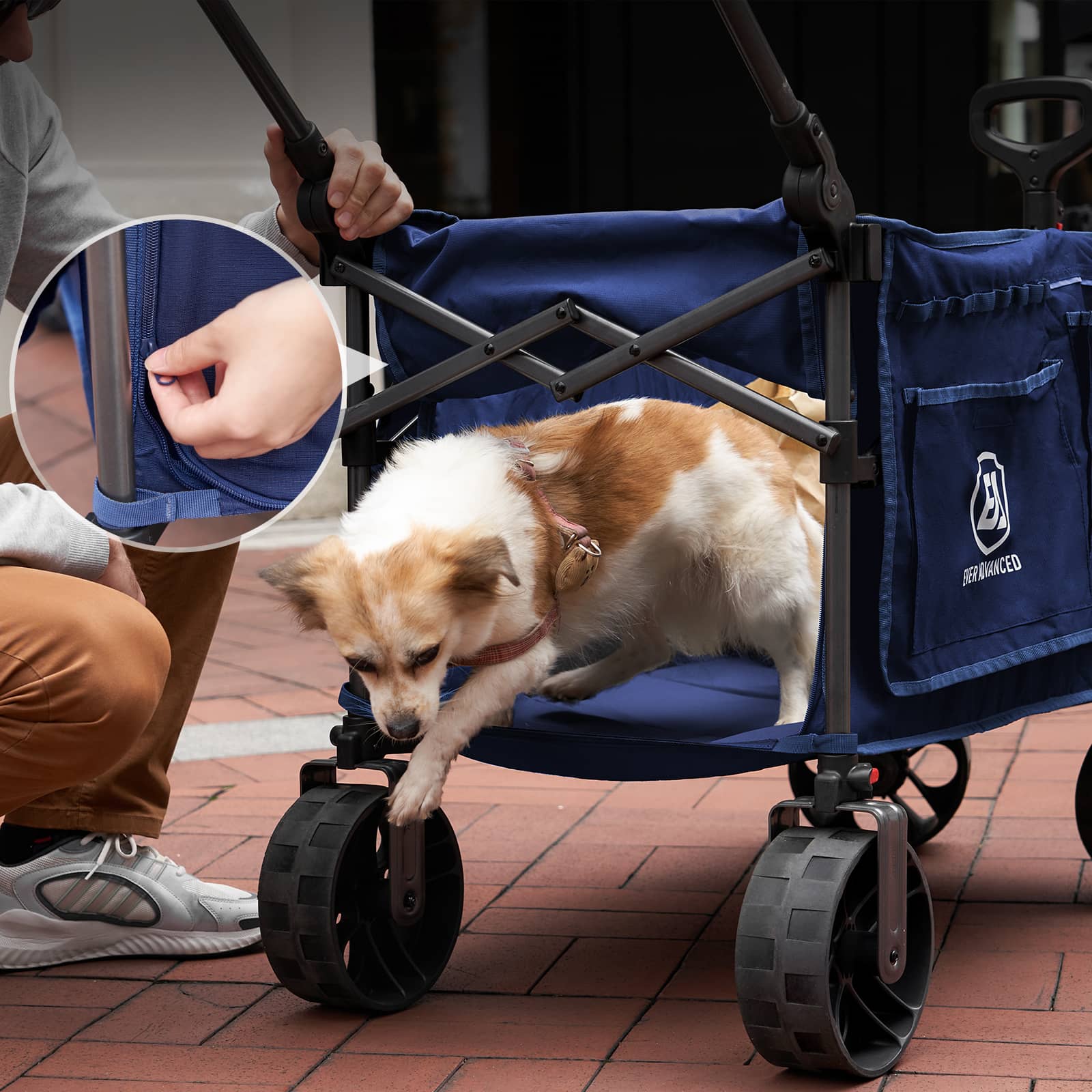 EVER ADVANCED - Folding Camping Push Wagon - Blue
