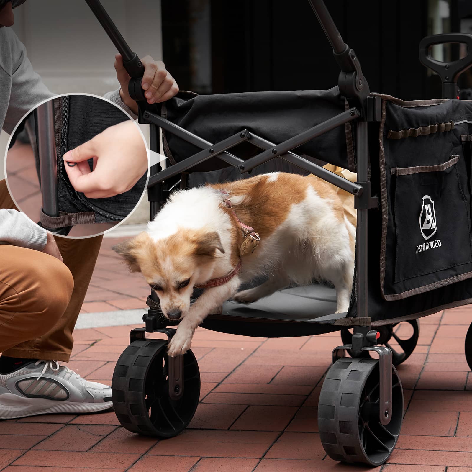 EVER ADVANCED - Folding Camping Push Wagon - Black