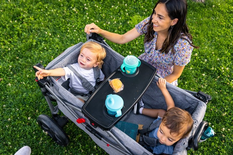 How to Get the Most Out of Your EVER ADVANCED Stroller Wagon This Spring - EVER ADVANCED