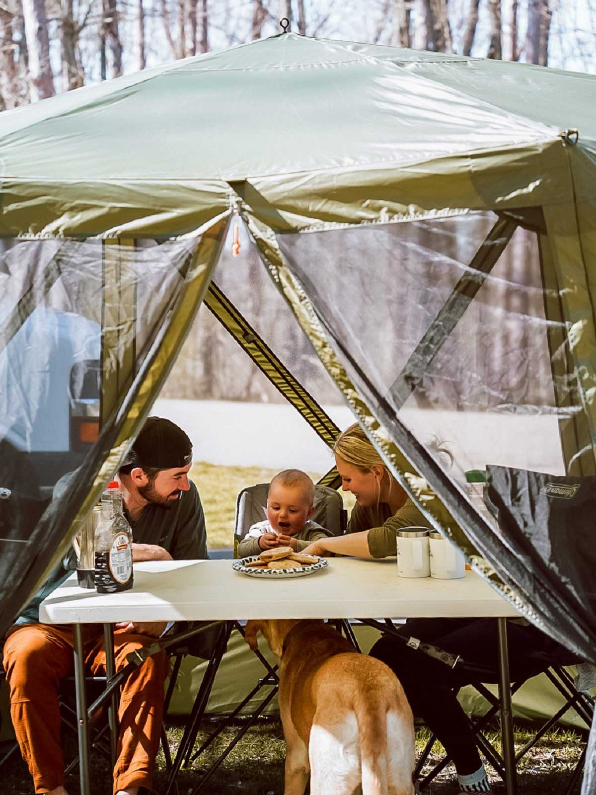 ever advanced screen house tent